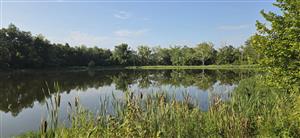 @lagrangeparksrec