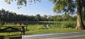 @lagrangeparksrec