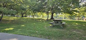 @lagrangeparksrec